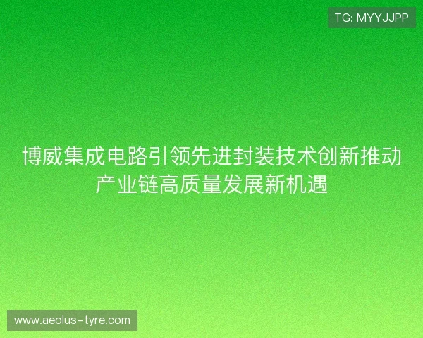 博威集成电路引领先进封装技术创新推动产业链高质量发展新机遇