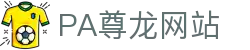PA尊龙(中国区)有限公司官网